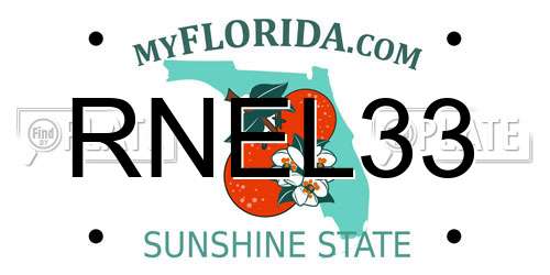RNEL33 Florida License Plate