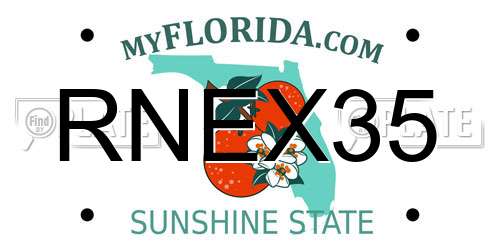 RNEX35 Florida License Plate