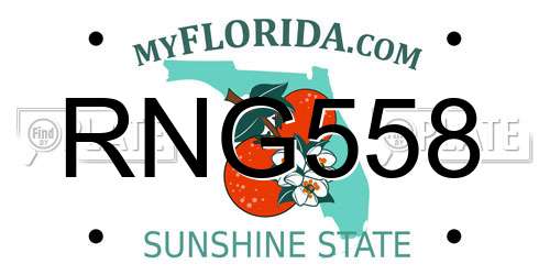 RNG558 Florida License Plate