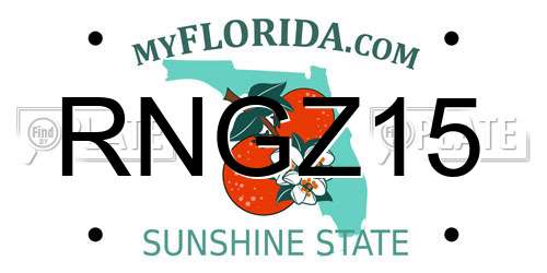 RNGZ15 Florida License Plate