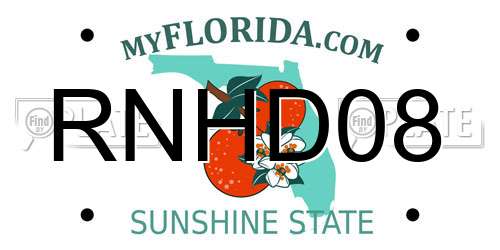RNHD08 Florida License Plate