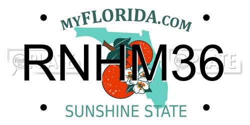 RNHM36 Florida License Plate