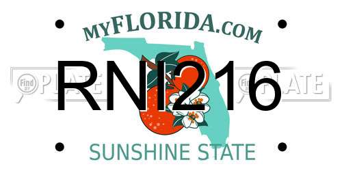 RNI216 Florida License Plate