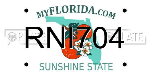 RNI704 Florida License Plate