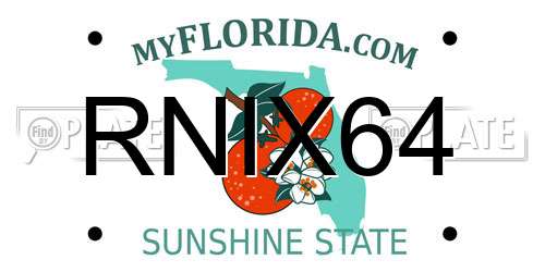 RNIX64 Florida License Plate