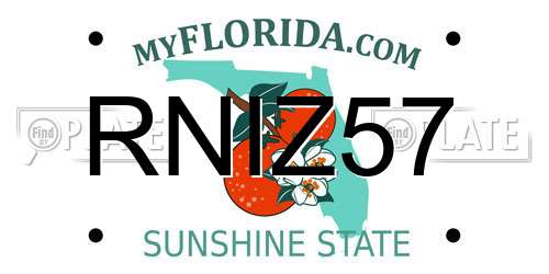 RNIZ57 Florida License Plate