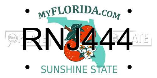 RNJ444 Florida License Plate