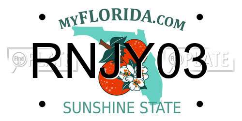 RNJY03 Florida License Plate