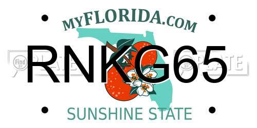 RNKG65 Florida License Plate