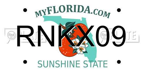 RNKX09 Florida License Plate