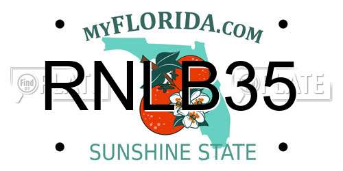 RNLB35 Florida License Plate