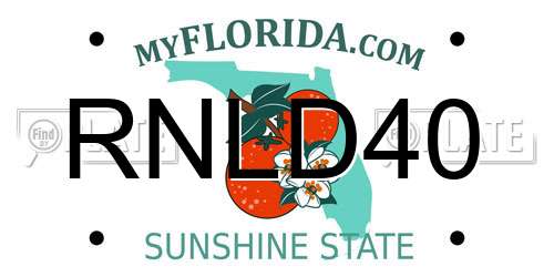 RNLD40 Florida License Plate
