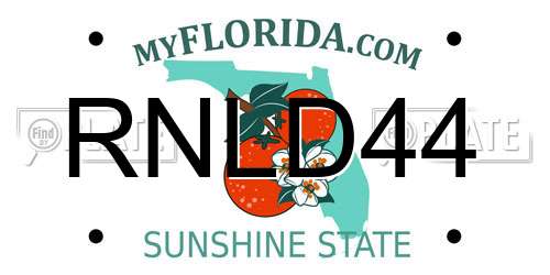 RNLD44 Florida License Plate
