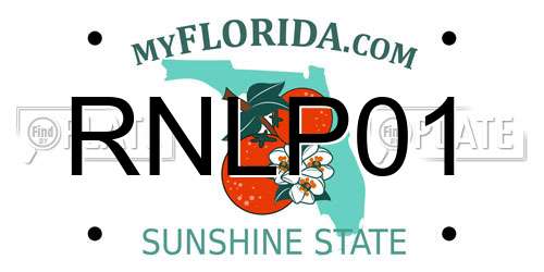 RNLP01 Florida License Plate