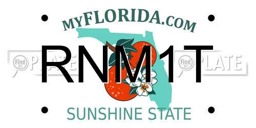RNM1T Florida License Plate