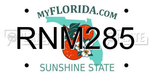 RNM285 Florida License Plate