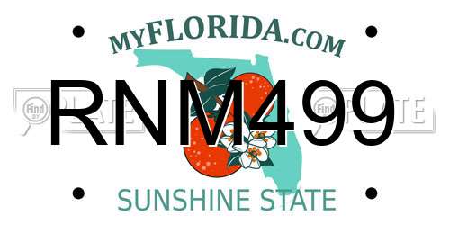 RNM499 Florida License Plate