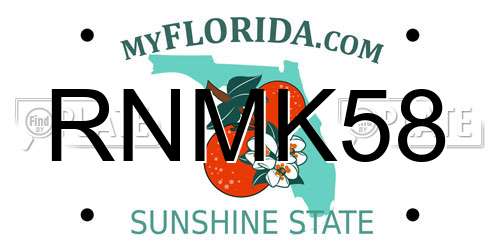 RNMK58 Florida License Plate