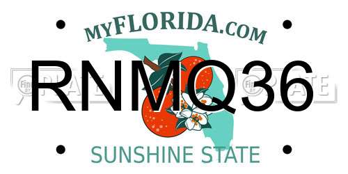 RNMQ36 Florida License Plate