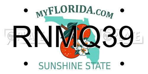 RNMQ39 Florida License Plate