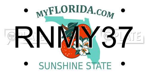 RNMY37 Florida License Plate