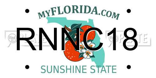 RNNC18 Florida License Plate