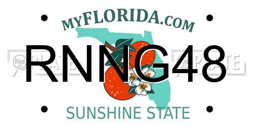 RNNG48 Florida License Plate