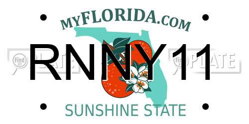RNNY11 Florida License Plate
