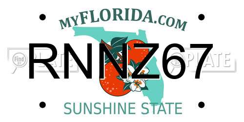 RNNZ67 Florida License Plate