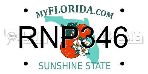 RNP346 Florida License Plate