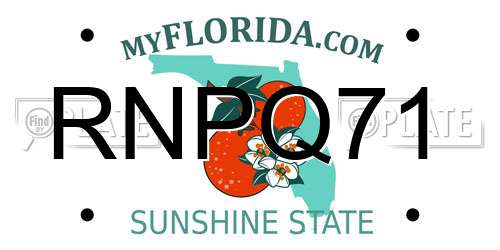 RNPQ71 Florida License Plate