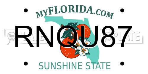 RNQU87 Florida License Plate