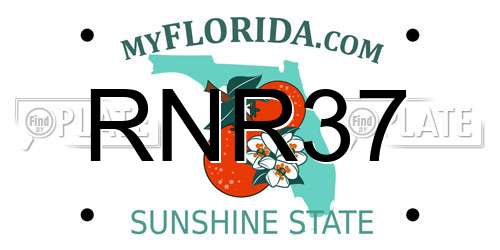 RNR37 Florida License Plate