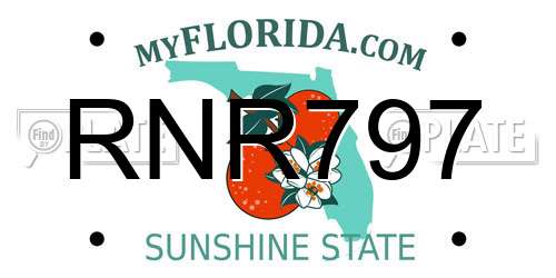 RNR797 Florida License Plate