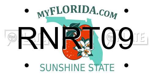 RNRT09 Florida License Plate