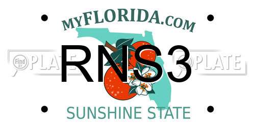 RNS3 Florida License Plate
