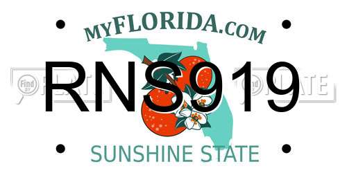 RNS919 Florida License Plate