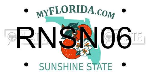 RNSN06 Florida License Plate
