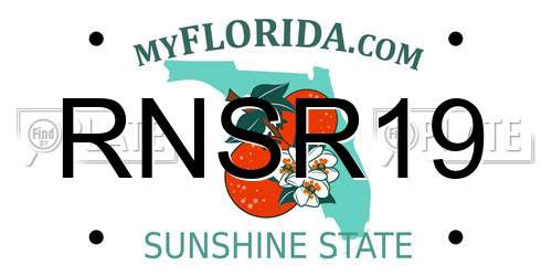 RNSR19 Florida License Plate