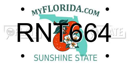 RNT664 Florida License Plate