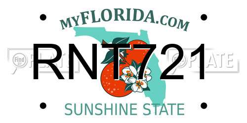 RNT721 Florida License Plate