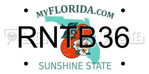 RNTB36 Florida License Plate