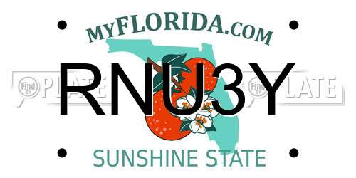 RNU3Y Florida License Plate