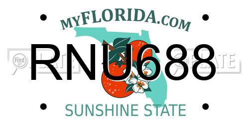 RNU688 Florida License Plate