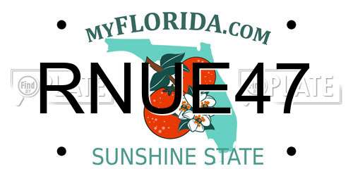 RNUE47 Florida License Plate