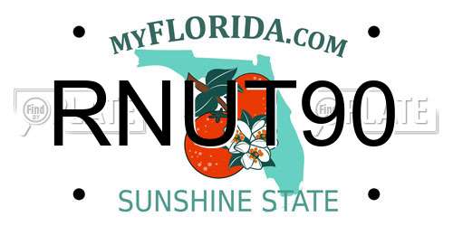 RNUT90 Florida License Plate