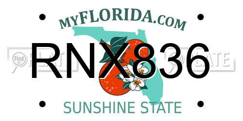 RNX836 Florida License Plate