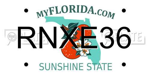 RNXE36 Florida License Plate