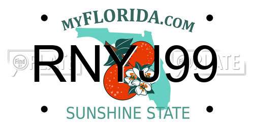 RNYJ99 Florida License Plate