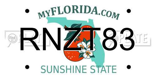RNZT83 Florida License Plate